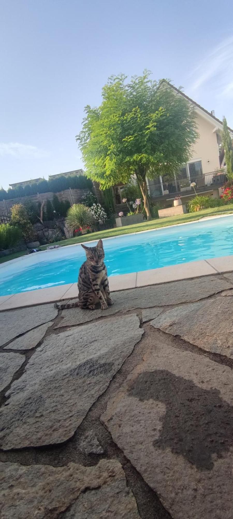 Bel Giardino Lägenhet FDH Exteriör bild